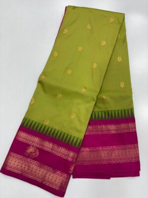 Semi Gadwal