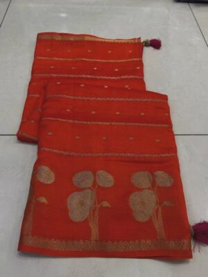 Banarasi Raw mango  soft fabric saree